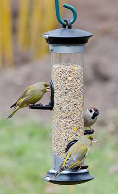 Ruokinta Apollo 35 cm -4 syöttöaukkoa Small